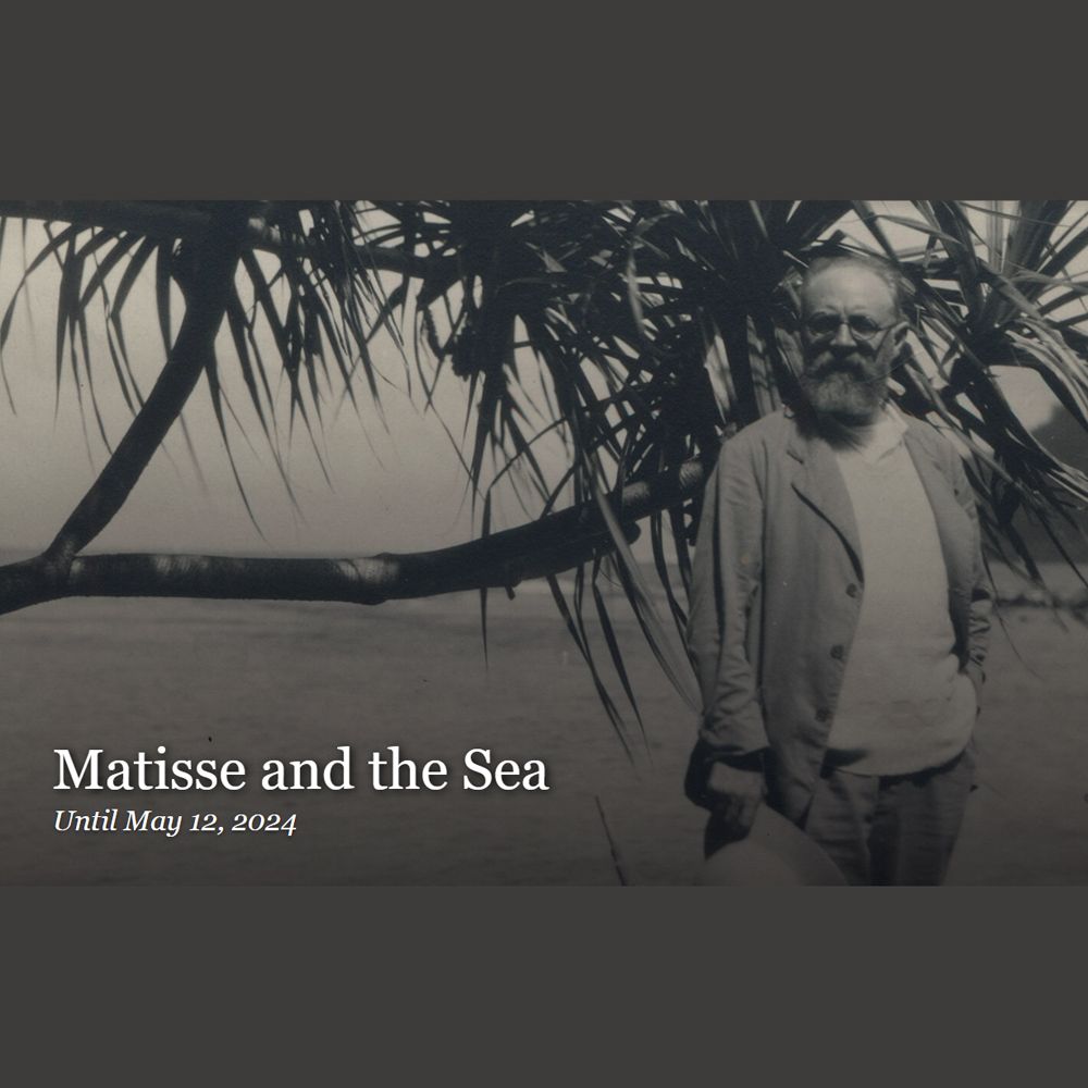 Dive into Matisse and the Sea at the Saint Louis Art Museum